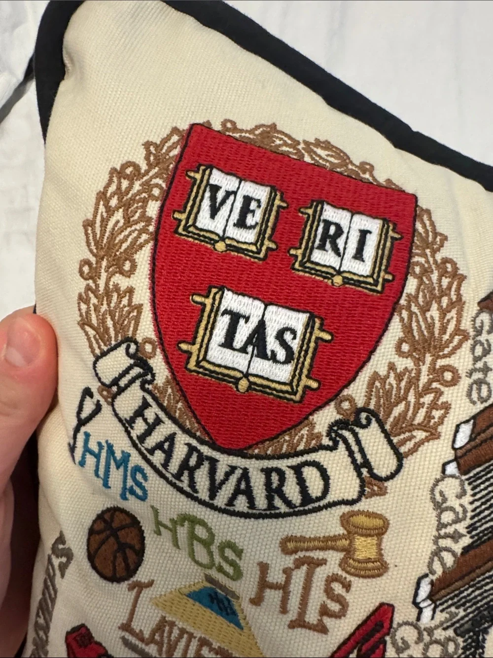 Harvard Embroidered Pillow Case with Insert - catstudio collegiate collection
